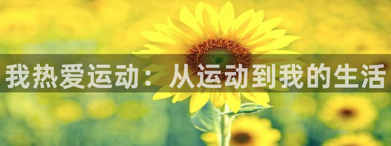 风速体育app下载官网最新版