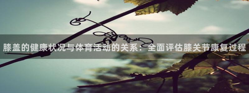 风速体育nba免费直播