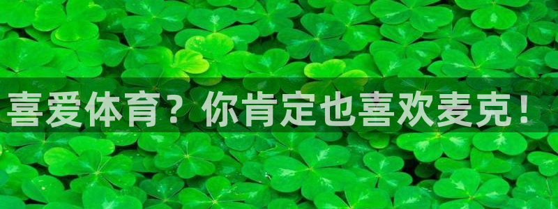 风速体育直播app