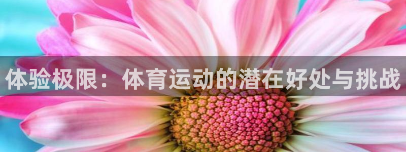 风速体育app下载安装最新版本