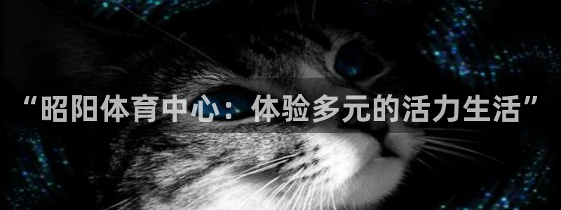 风速体育app下载官网最新版