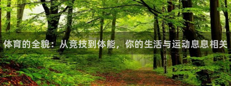 风速体育下载